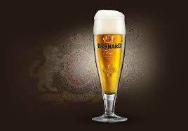 Bernard Free